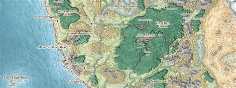 Gambling Games in Forgotten Realms .